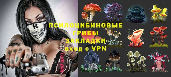 mdpv Володарск