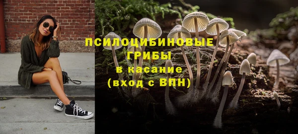 mdpv Володарск